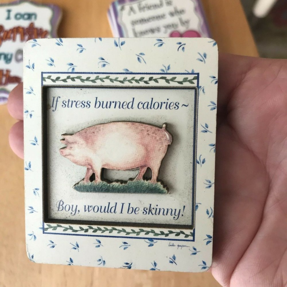 Stress Burned Calories Pig Magnet Linda Grayson Christmas Birthday New V…